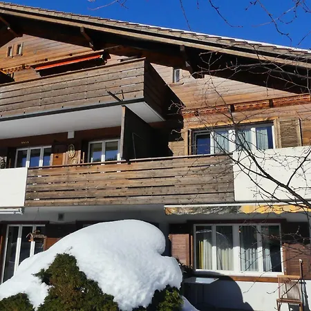 Silberdistel C9 With Alps View شقة