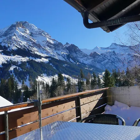Silberdistel C9 With Alps View Adelboden