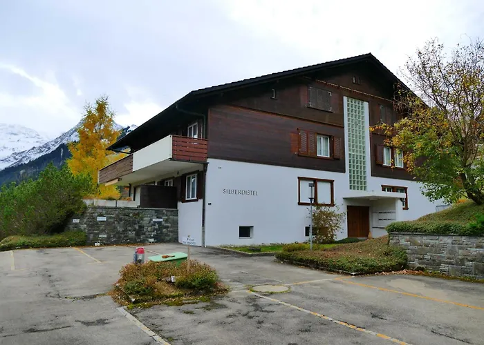 Appartamento Silberdistel C9 With Alps View Adelboden